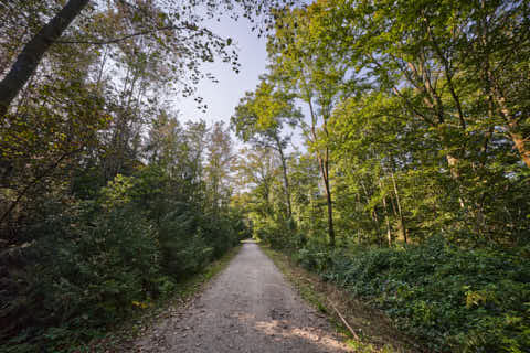 Gemeinde Altötting Landkreis Altötting Forst Fürstenweg (Dirschl Johann) Deutschland AÖ